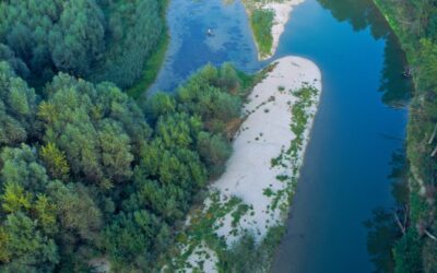 WWF fordert rasche Absage des Lobau-Tunnels