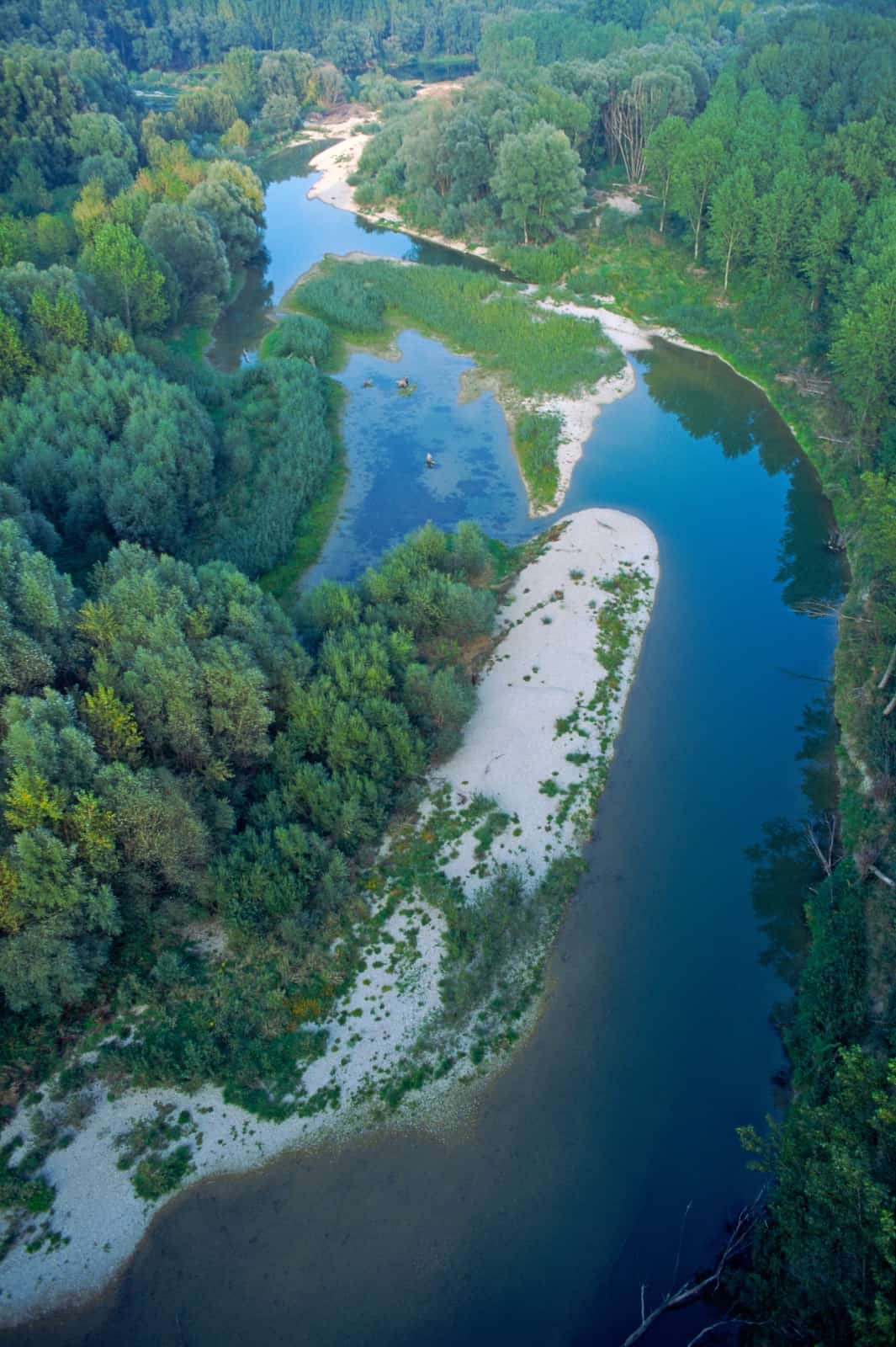 Donauauen Flugaufnahme