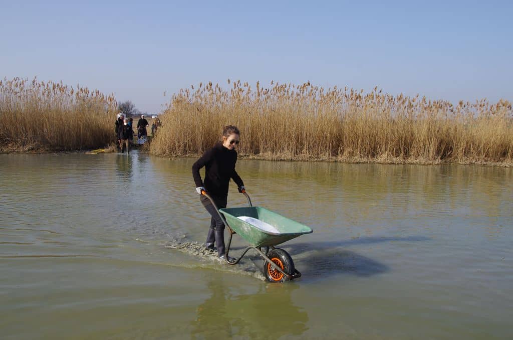 Salz-Rettungsaktion für die Moschado-Lacke