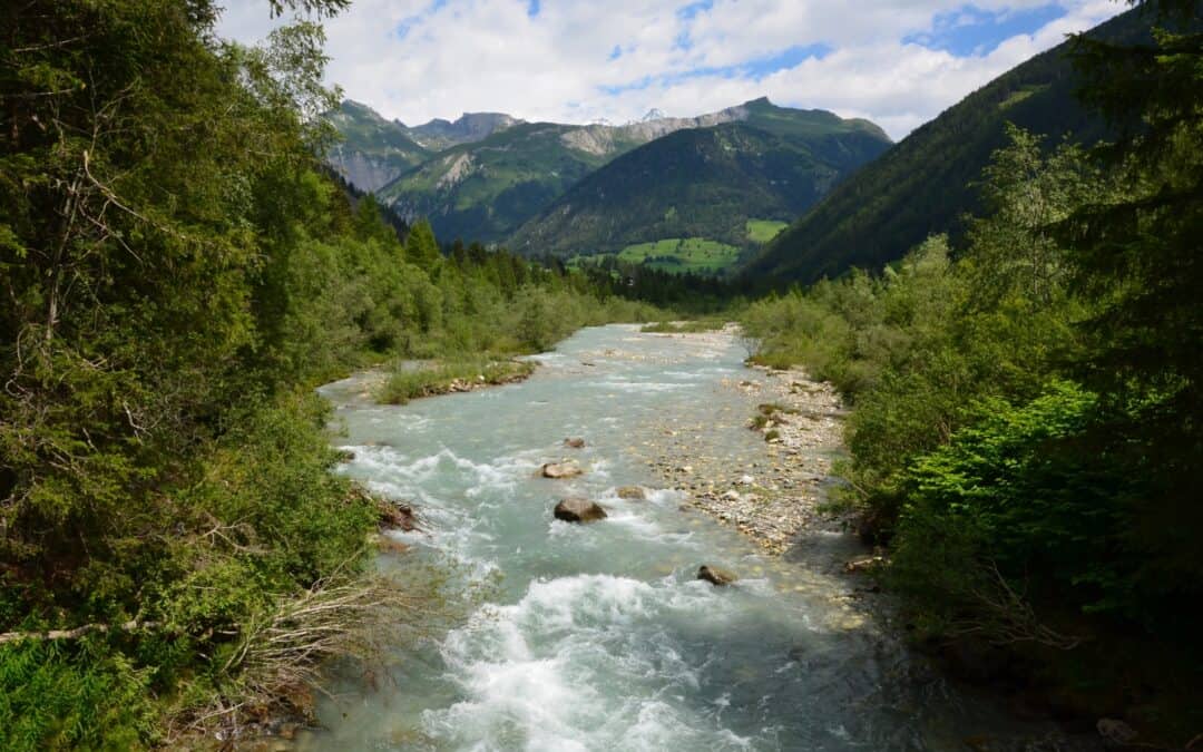 Kraftwerk Kalserbach: WWF und Experten kritisieren mangelhafte Naturverträglichkeitserklärung