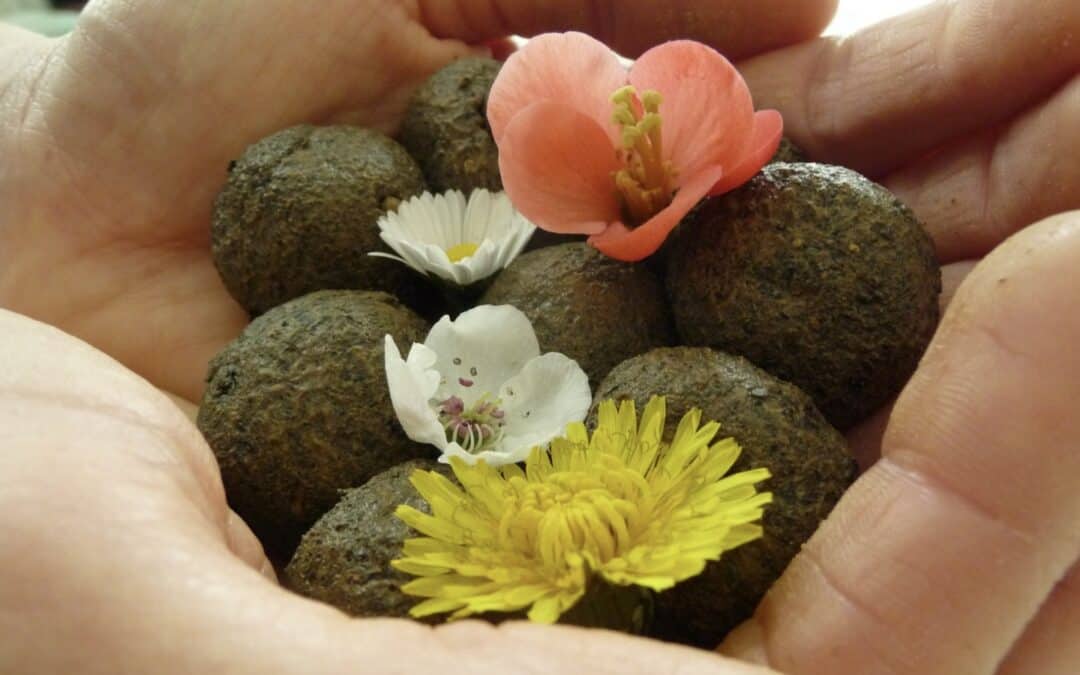 samenbomben-in-den-haenden-haltend