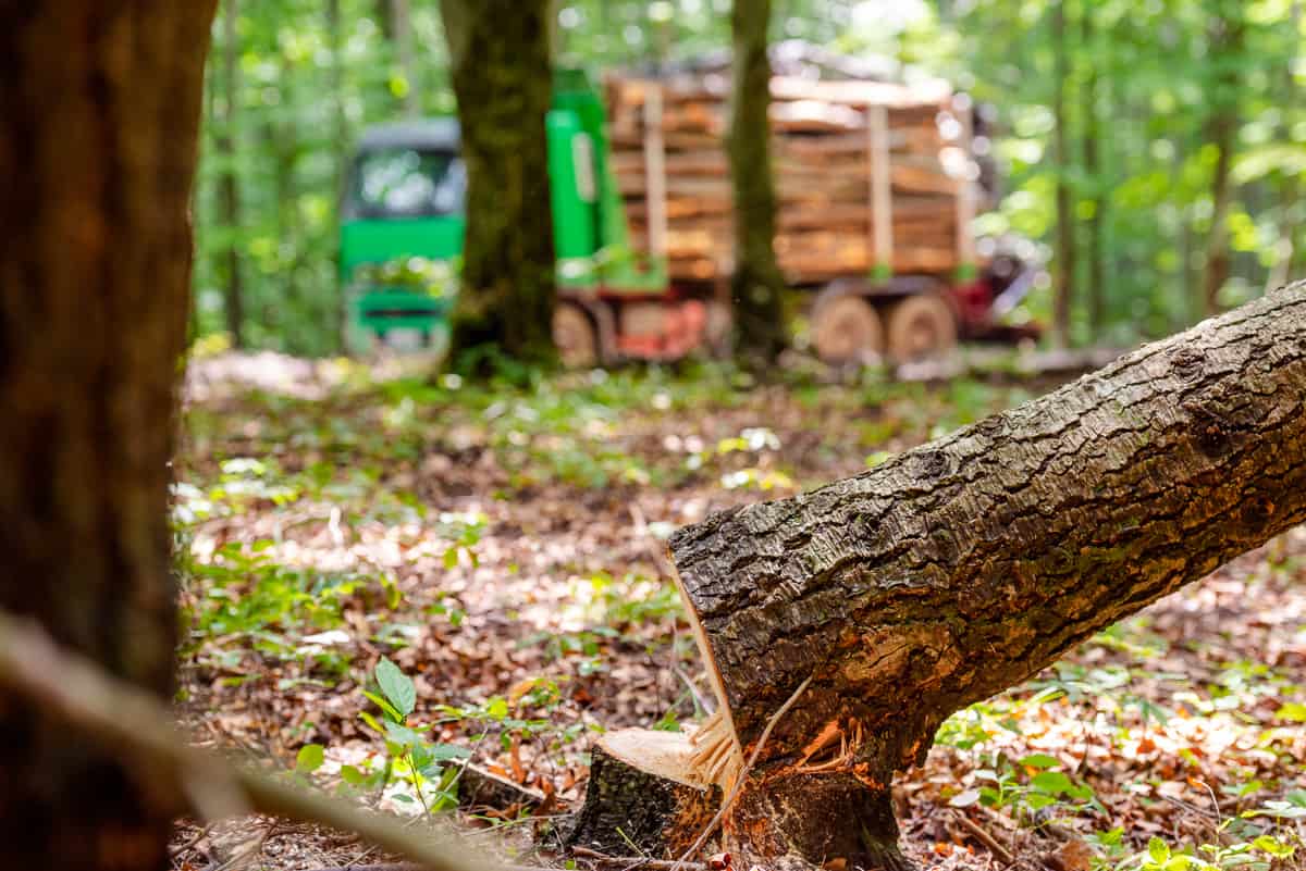 RO Logging