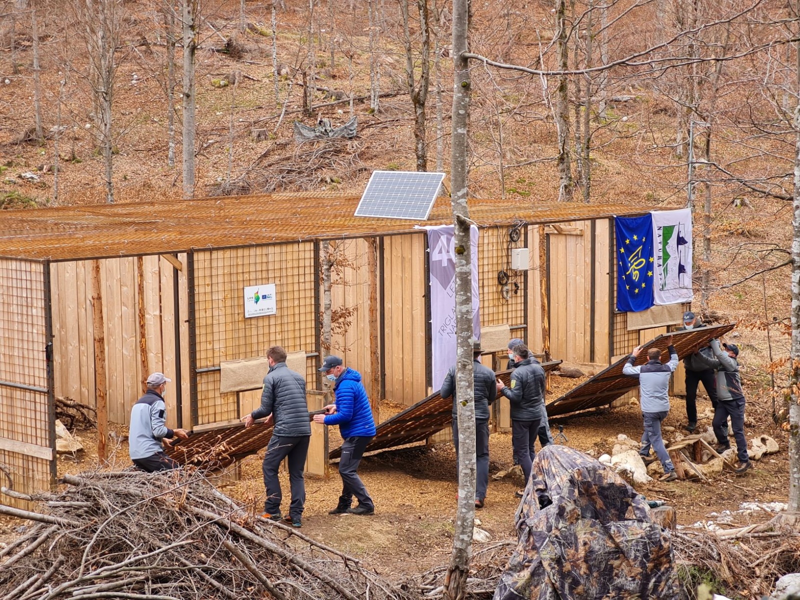 Die Türen der Luchs Quarantäne-Gehege werden geöffnet, © by LIFE Lynx/ Maja Sever Die Türen der Luchs Quarantäne-Gehege werden geöffnet, © by LIFE Lynx/ Maja Sever