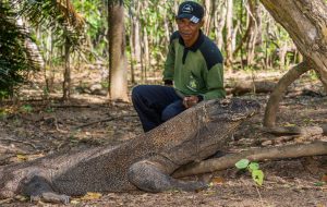 Ein Ranger im Komodo-Nationalpark, © by WWF-SE Ein Ranger im Komodo-Nationalpark, © by WWF-SE