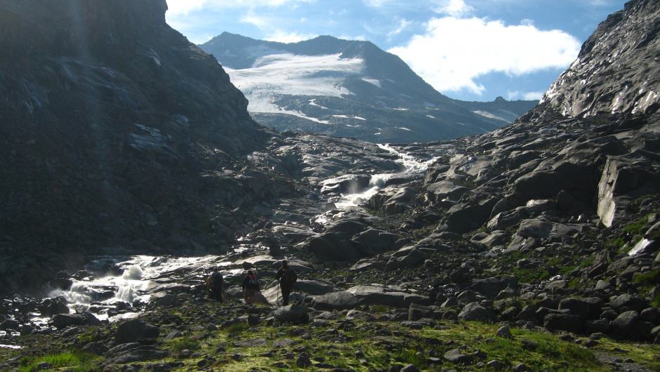 Alpine Wildnis (c) M. Zika / WWF Österreich Alpine Wildnis (c) M. Zika / WWF Österreich