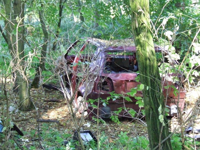 Auto im Wald Auto im Wald