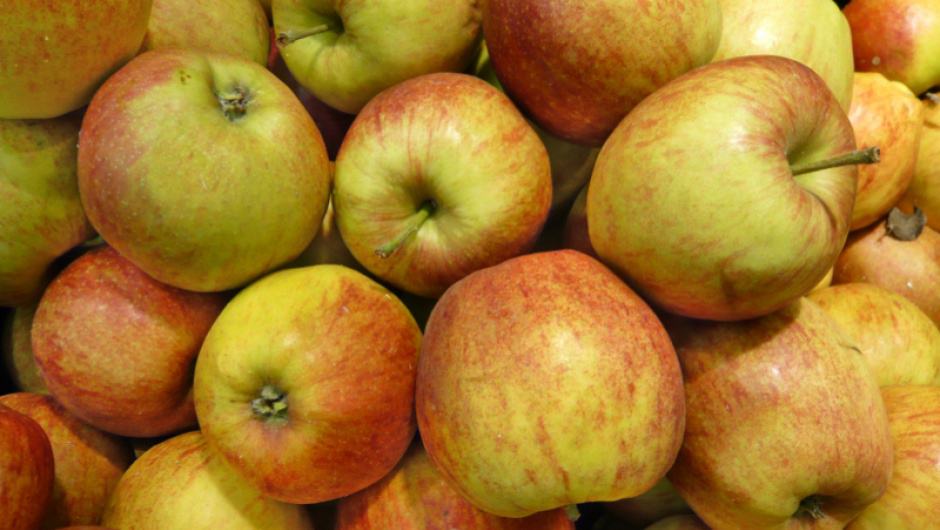 Bio-Äpfel