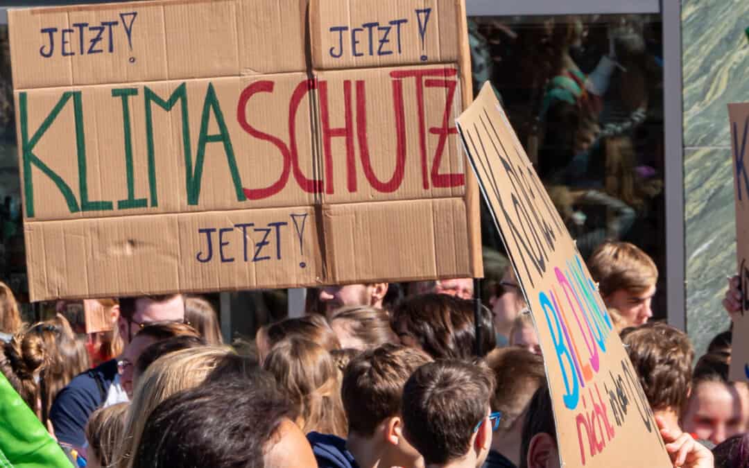 Demo Fridays for Future