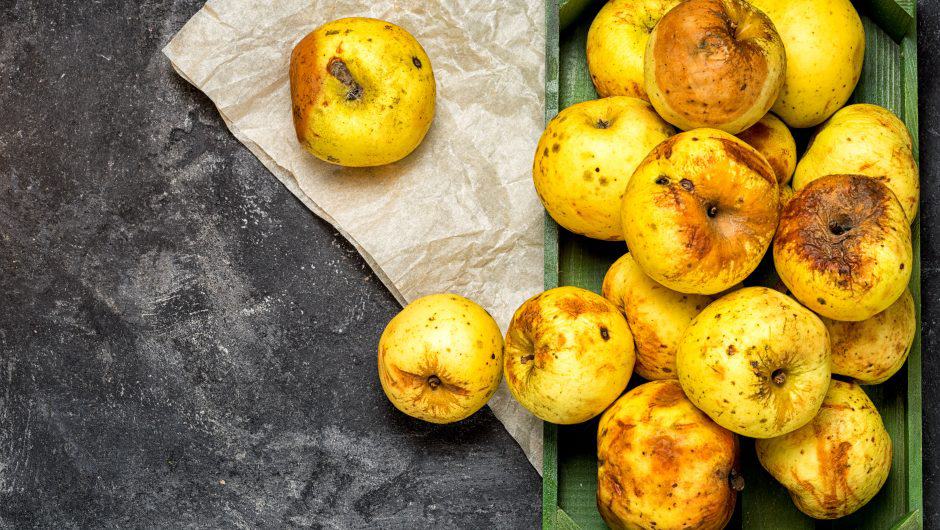 Frisch verfault -Äpfel