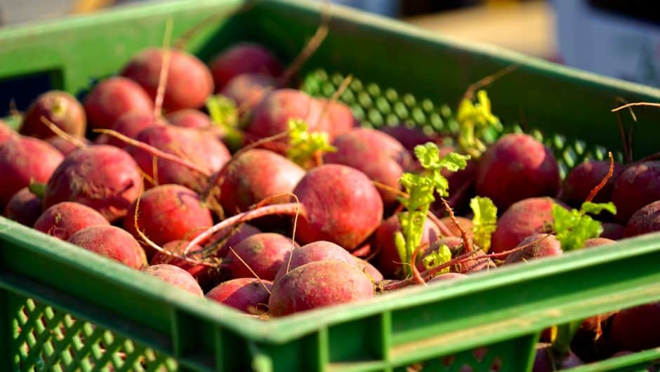 Eine Kiste mit Radieschen