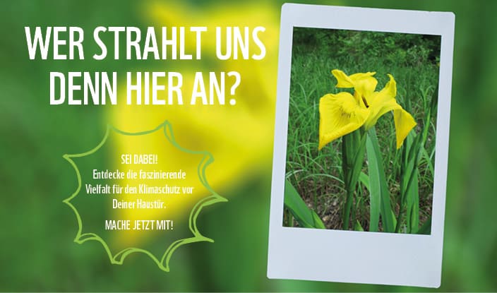 Vielfalt = Klimaschutz Vielfalt = Klimaschutz