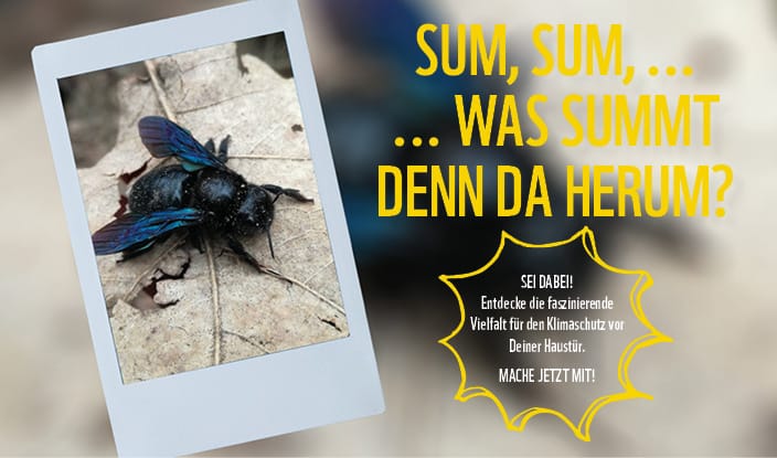 Vielfalt = Klimaschutz Vielfalt = Klimaschutz
