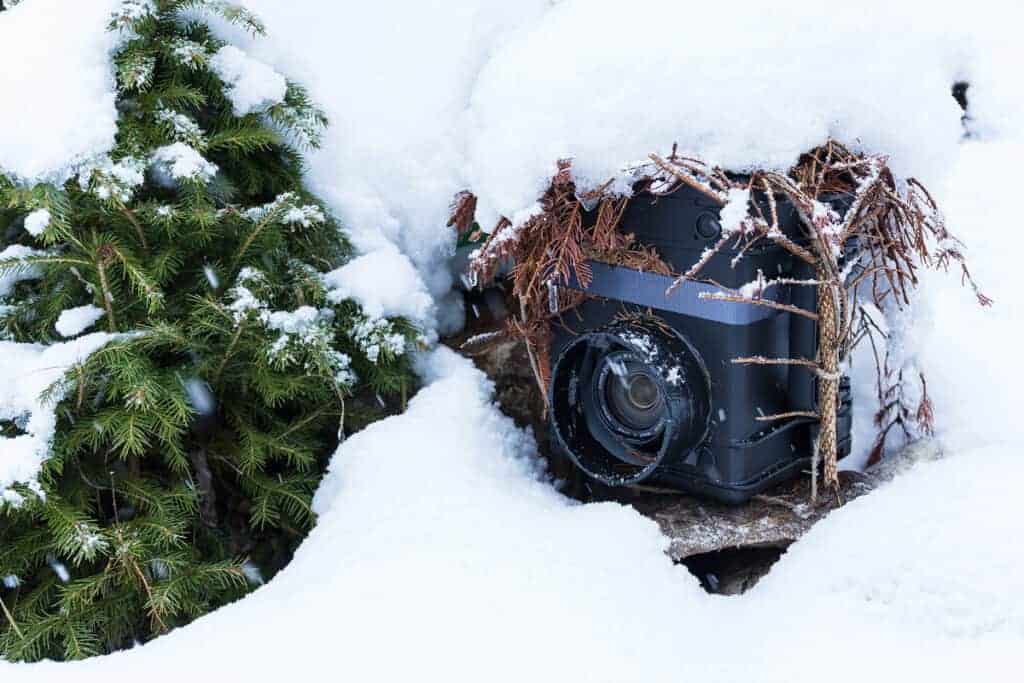 Einsatz einer von Schnee bedeckten Wildtierkamera/ © WWF Einsatz einer von Schnee bedeckten Wildtierkamera