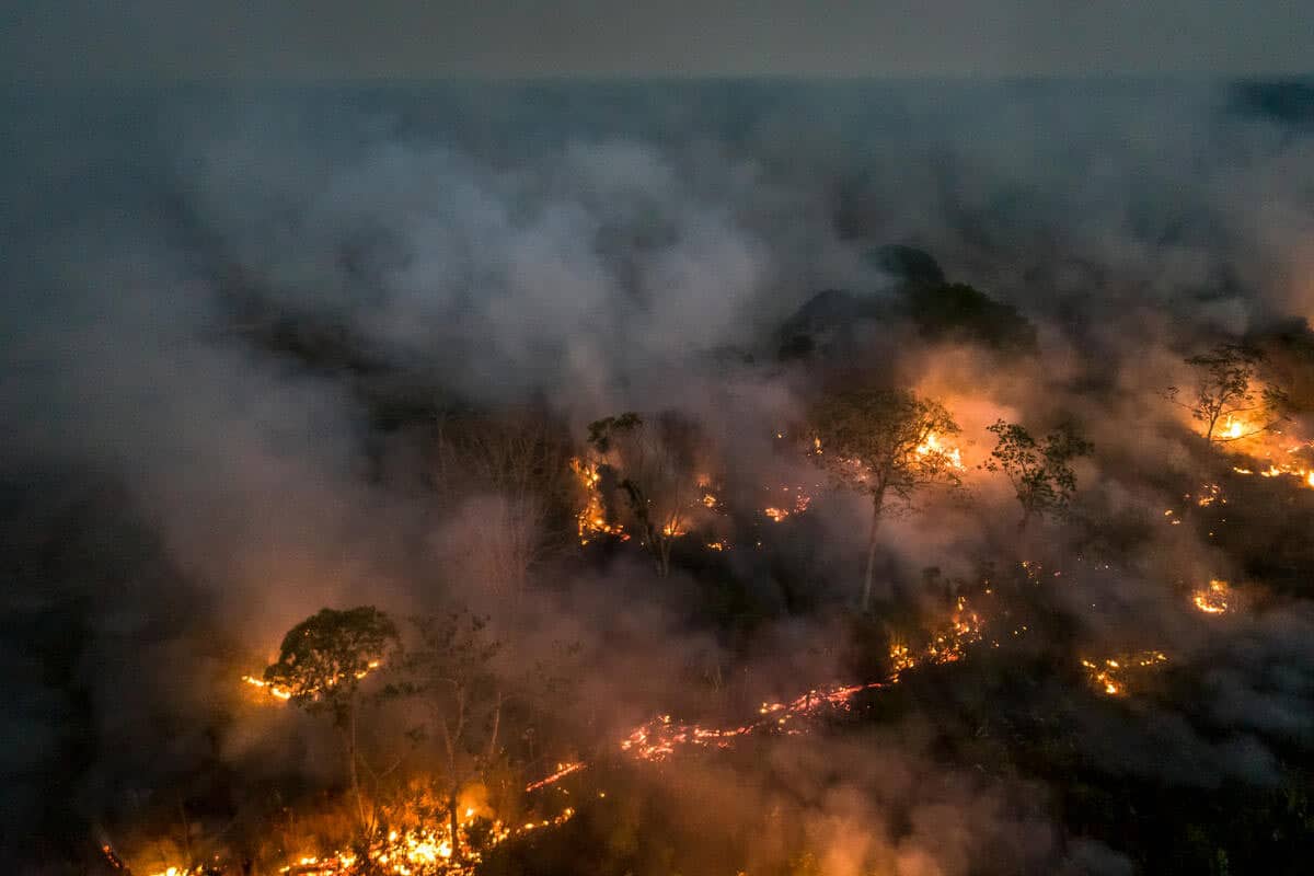 wwf-at_Gelegter-Waldbrand-im-Amazonas-für-Sojafelder_1200x800(c)Andre-Dib_WWF-Brazil Umweltverschmutzung durch Industrie