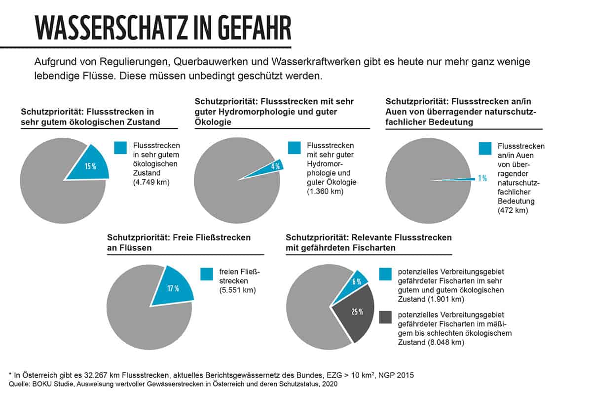 wwf-at_Grafik_Wasserschatz-in-Gefahr_BOKU-Flüsse-Studie(c)BOKU