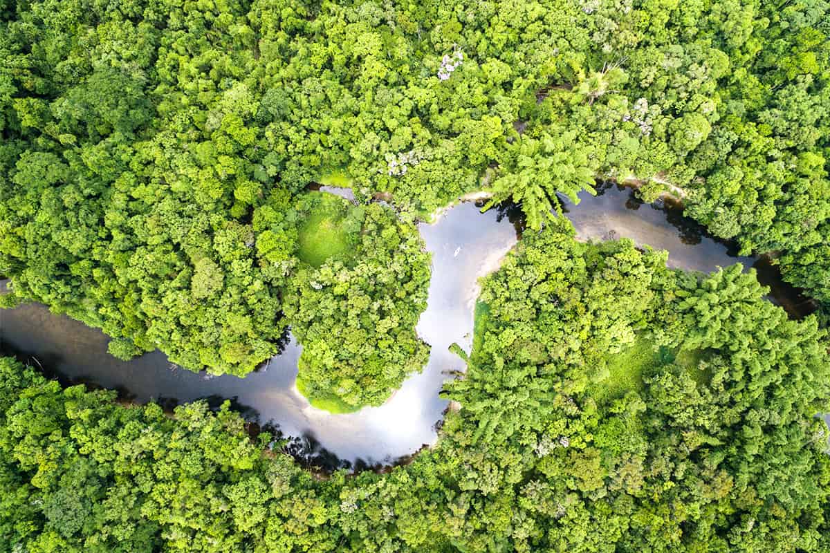 Bank Austria - Regenwald Fluss in Brasilien © Shutterstock / Gustavo Frazao / WWF Bank Austria - Regenwald Fluss in Brasilien