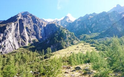 Wildnis in Österreich