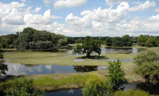 WWF-Studie: EU-weite Renaturierungen können riesige Mengen CO2 binden