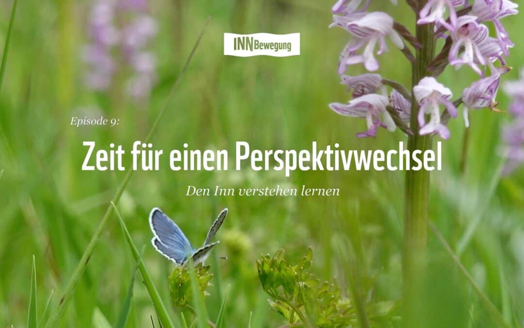 Zeit für einen Perspektivwechsel - INNBewegung, Episode 9