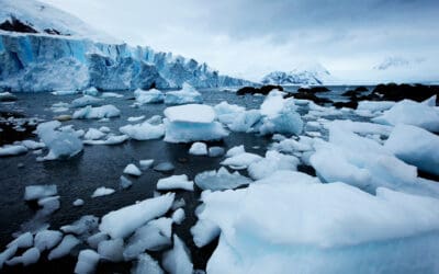 Gewinnspiel: Kinotickets für „Into the Ice“