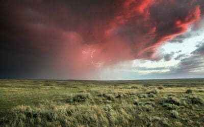 WWF zum Bericht des Weltklimarates: Alarmierender Notruf der Klimawissenschaft
