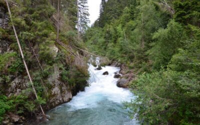 Schwere Verfahrensfehler bei Gemeindekraftwerk Defereggental – WWF legt Beschwerde ein