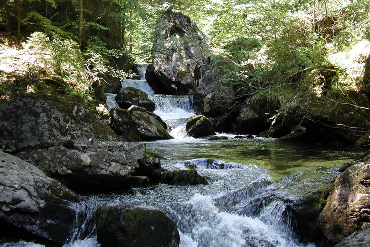 Schwarze Sulm/ © Walter Postl
