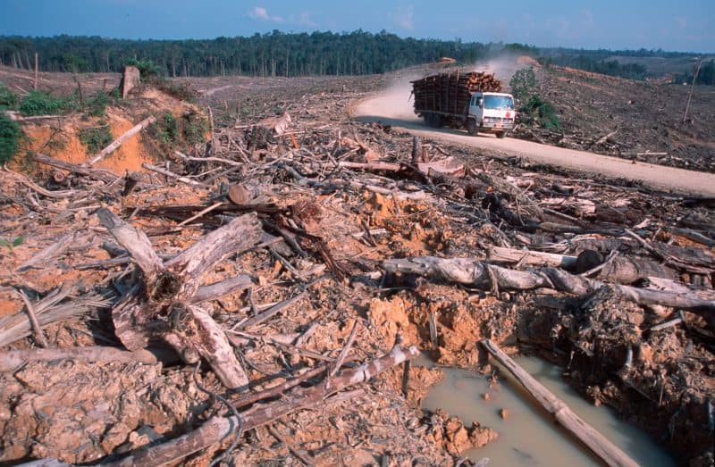 Hier können keine Tiere mehr leben © A.Compost / WWF