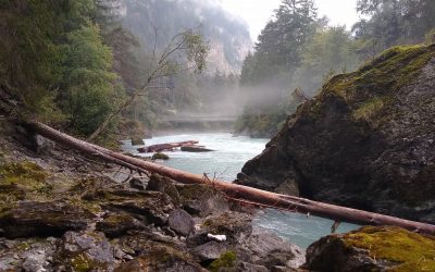 WWF-Analyse: Schlechtes Zeugnis für Nationalen Gewässerbewirtschaftungsplan
