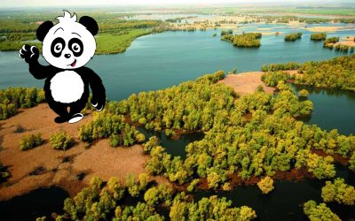 Komm mit zum Amazonas Europas!