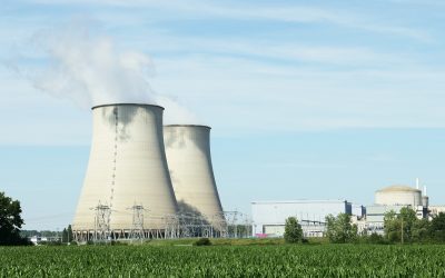 WWF zur Taxonomie-Entscheidung: „Herber Rückschlag für EU-Klimapolitik“