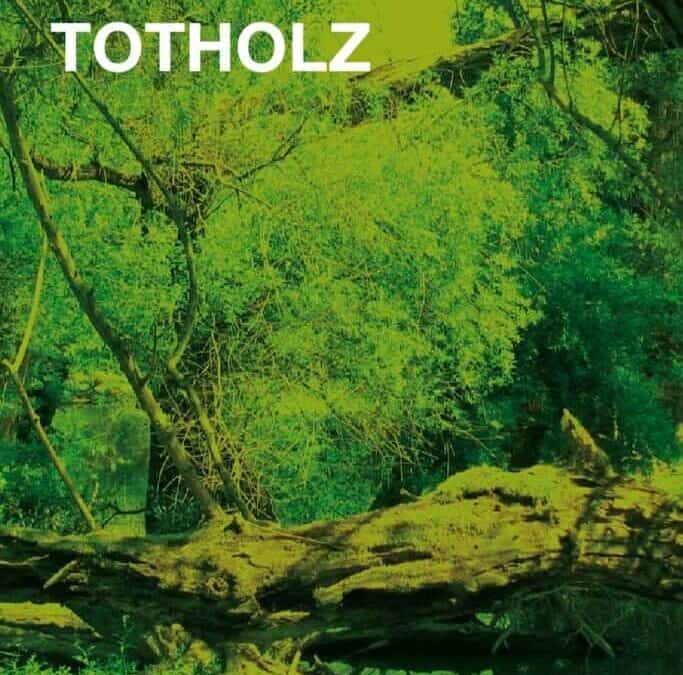 Auenreservat Information: Totholz