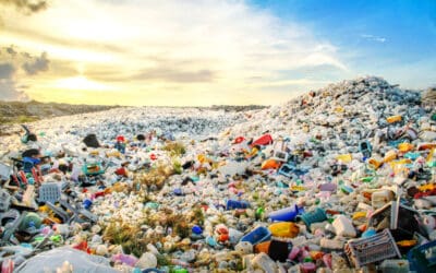 Nicht so billig wie gedacht: Die wahren Kosten von Plastik