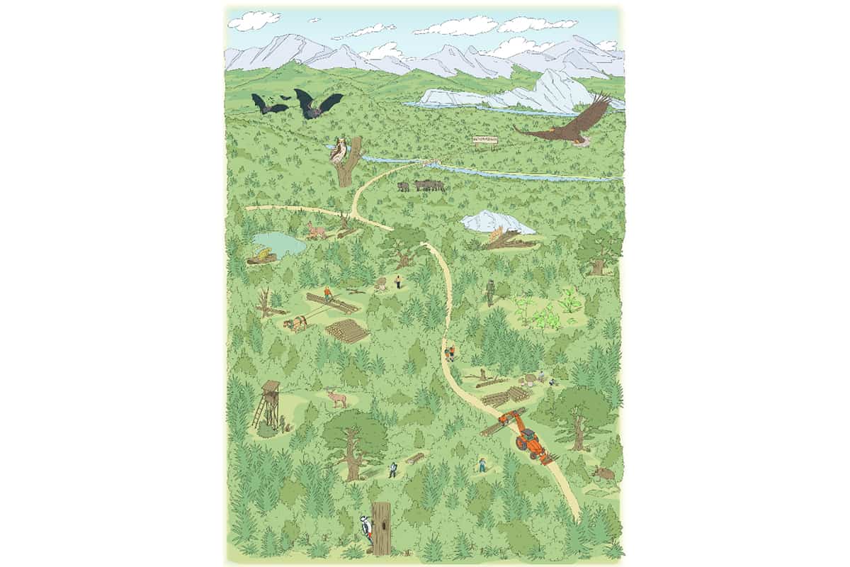 Die mögliche Zukunft der Wälder (c)WWF-AT Die mögliche Zukunft der Wälder