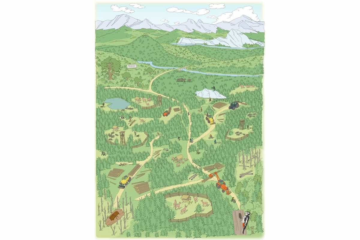 Aktuelle Situation der Wälder (c)WWF-AT Grafik aktuelle Situation der Wälder
