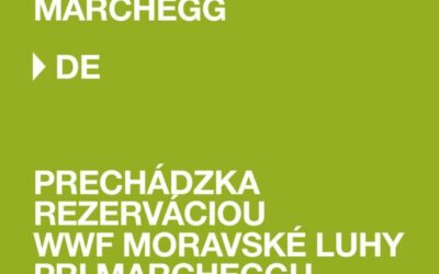 Prechádzka rezerváciou WWF Moravské luhy pri Marcheggu