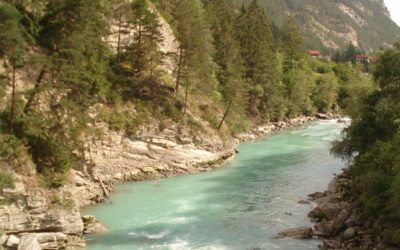 WWF-Faktencheck zum EU-Renaturierungsgesetz
