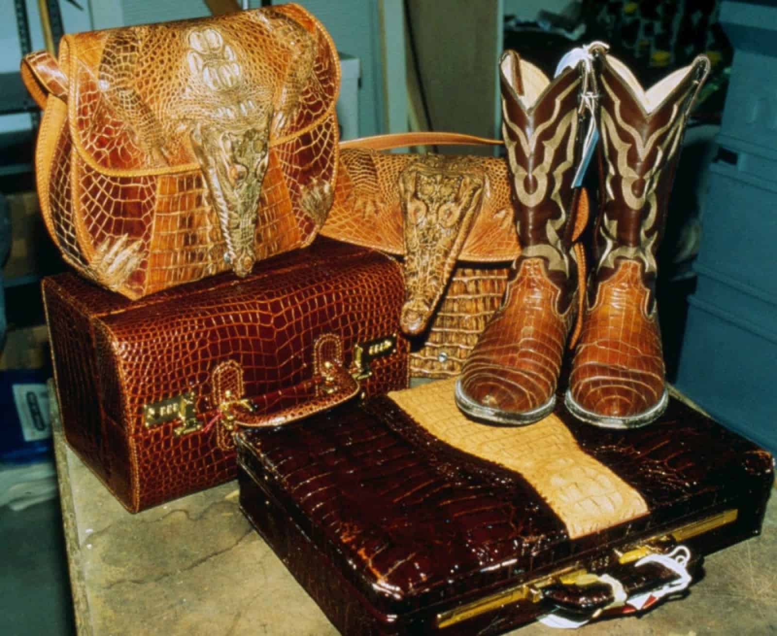 Reptilienleder Accessoires