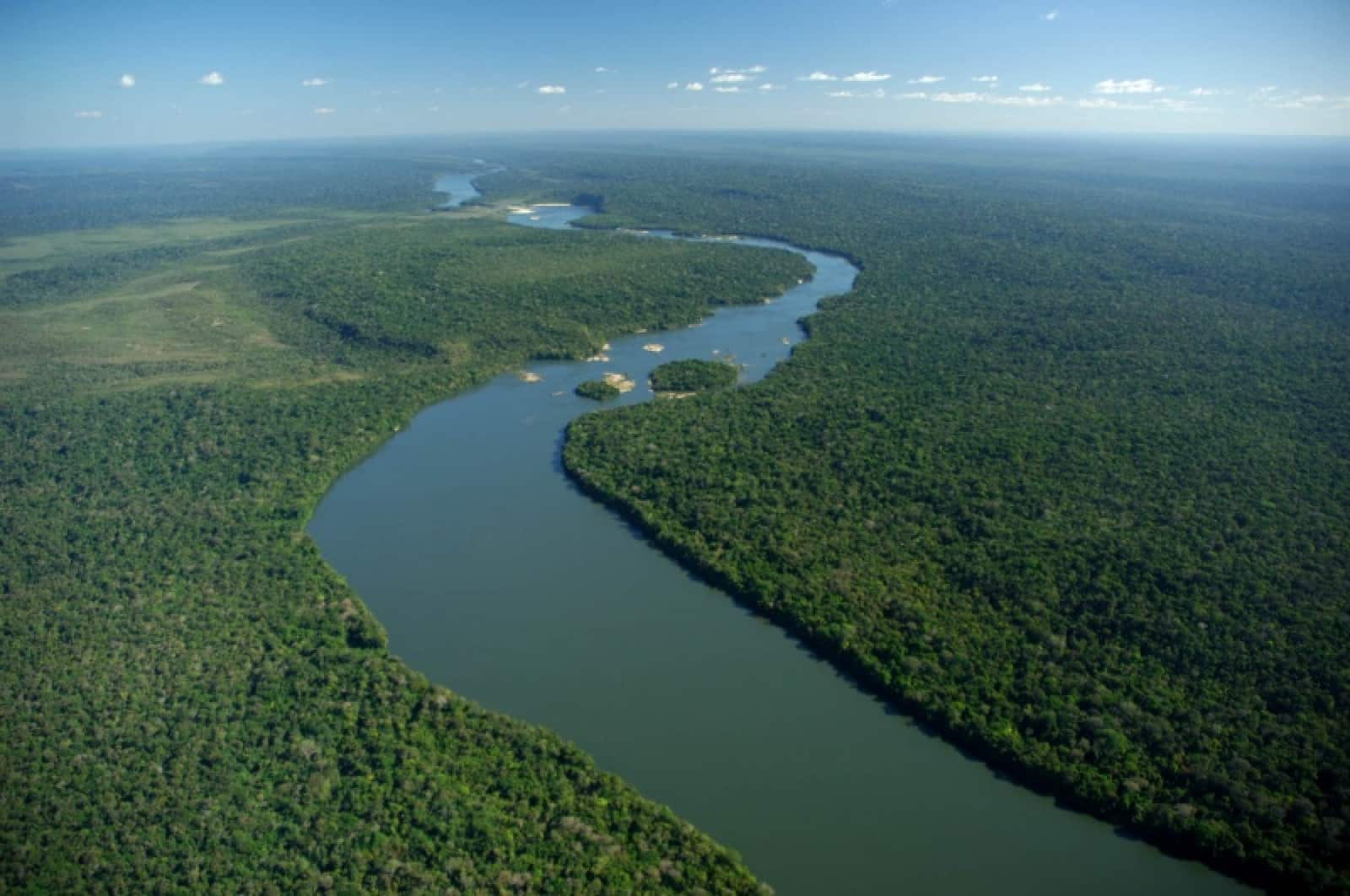 Der Amazonas
