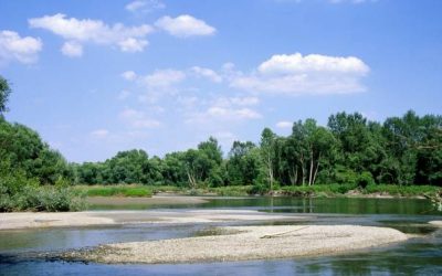 WWF feiert Naturschutzerfolg: Weltweit erster Fünf-Länder-Biosphärenpark nominiert