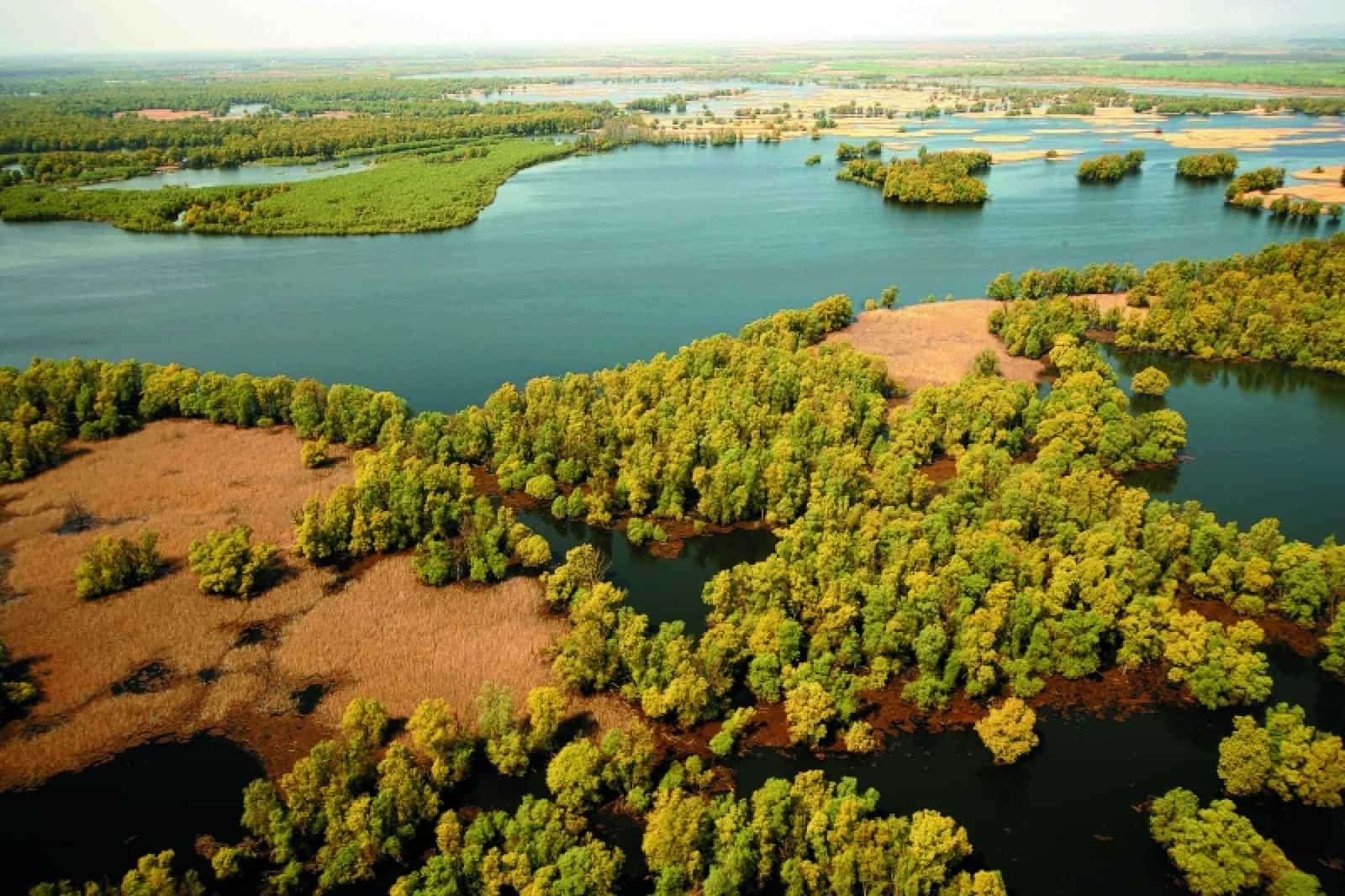 Der Amazonas Europas (c) Mario Romulic Arno Mohl - Leiter Mur Drau Donau Programm, WWF Österreich (c) Sonja Lindberg