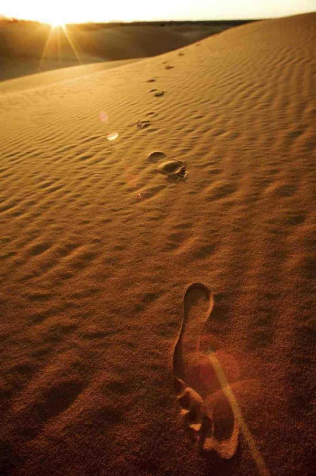 Fußabdruck in der Sahara
