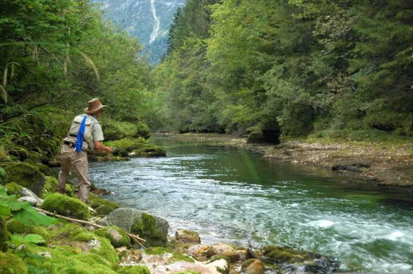 Fliegenfischen Traun: Toni Innauer an der Koppentraun