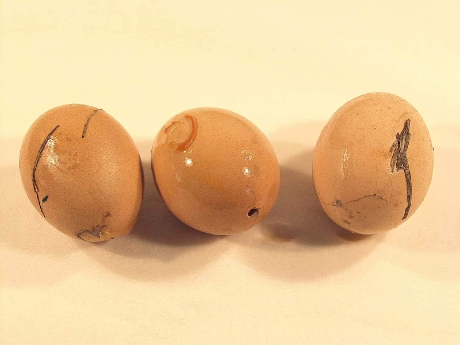 Eier_Carbofuran