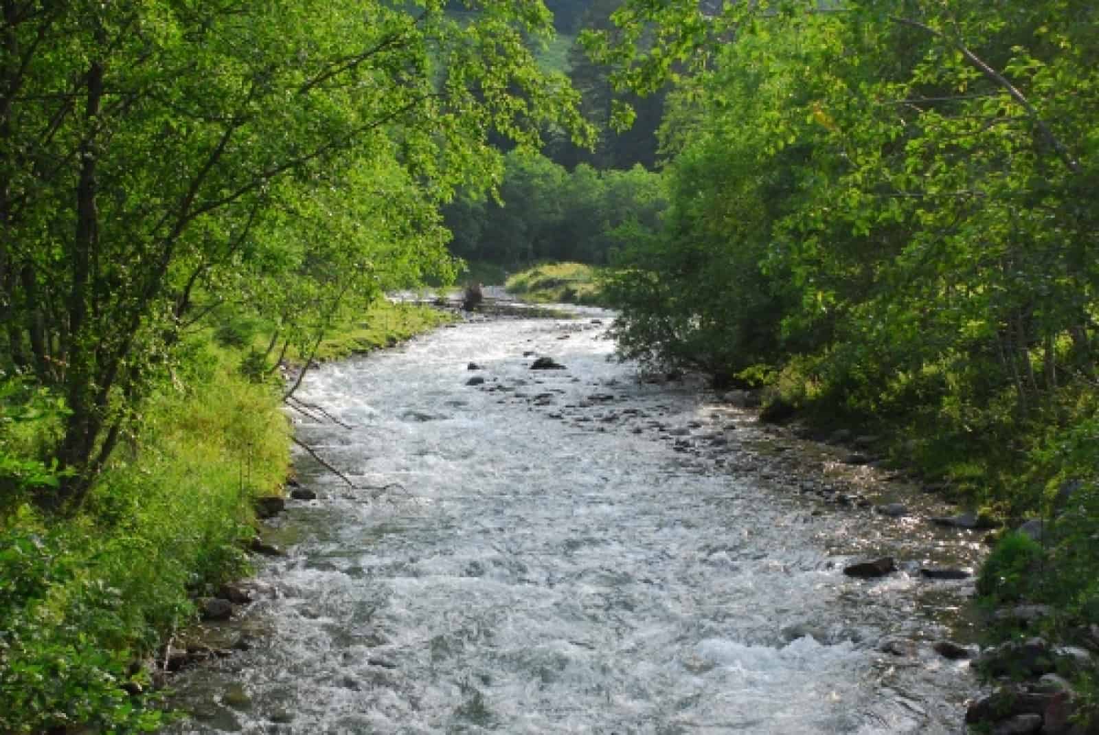 Mallnitzbach, © by Anton Vorauer/WWF