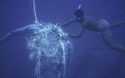 WWF fischt nach Geisternetzen
