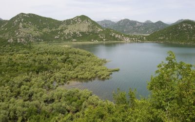 Weltwassertag: Staudämme bedrohen Flussparadiese an der Adria