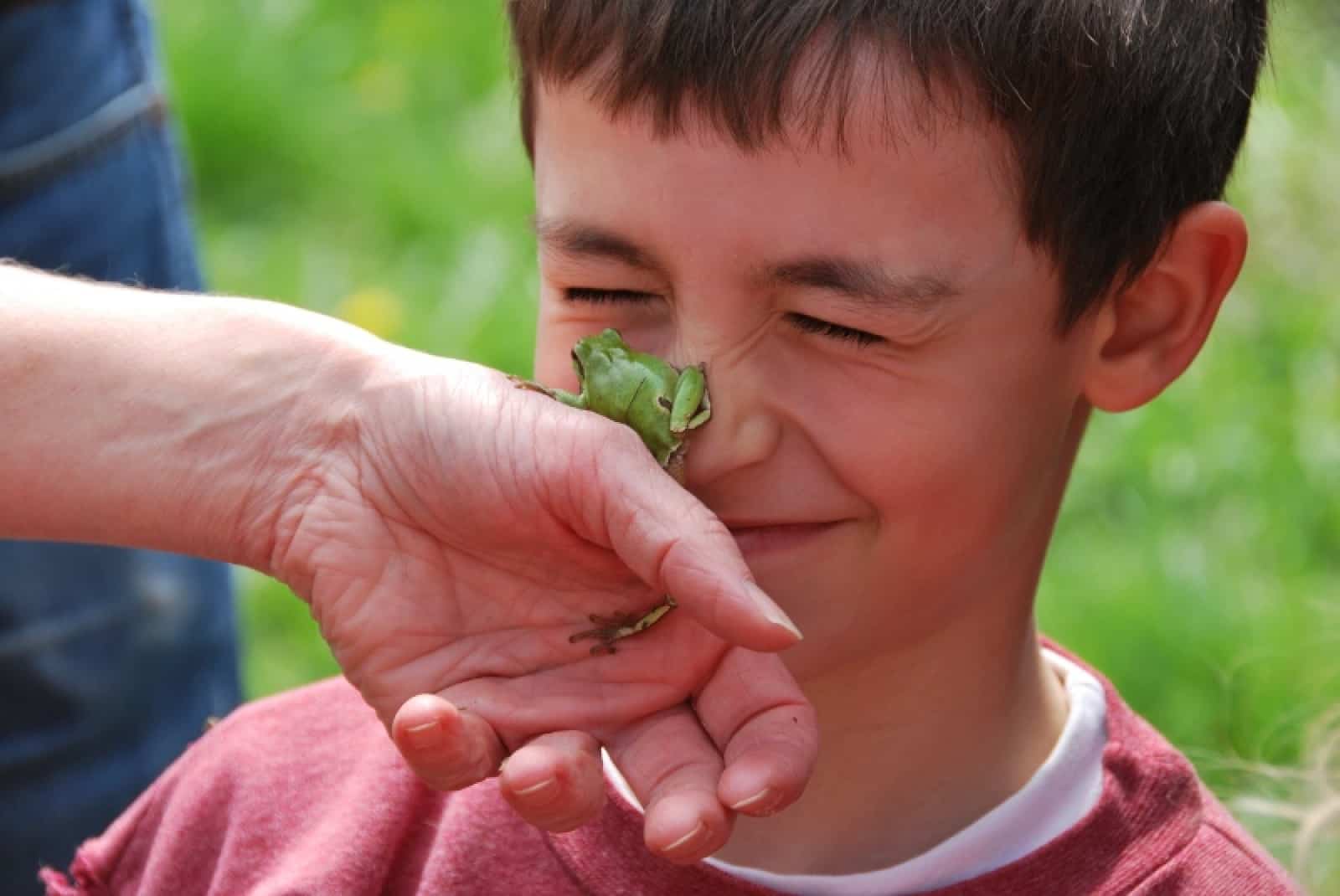 FROSCHzauber: Frosch auf Nase