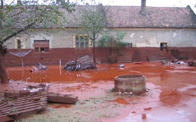 Katastrophe in Ungarn: WWF: EU trägt Mitschuld