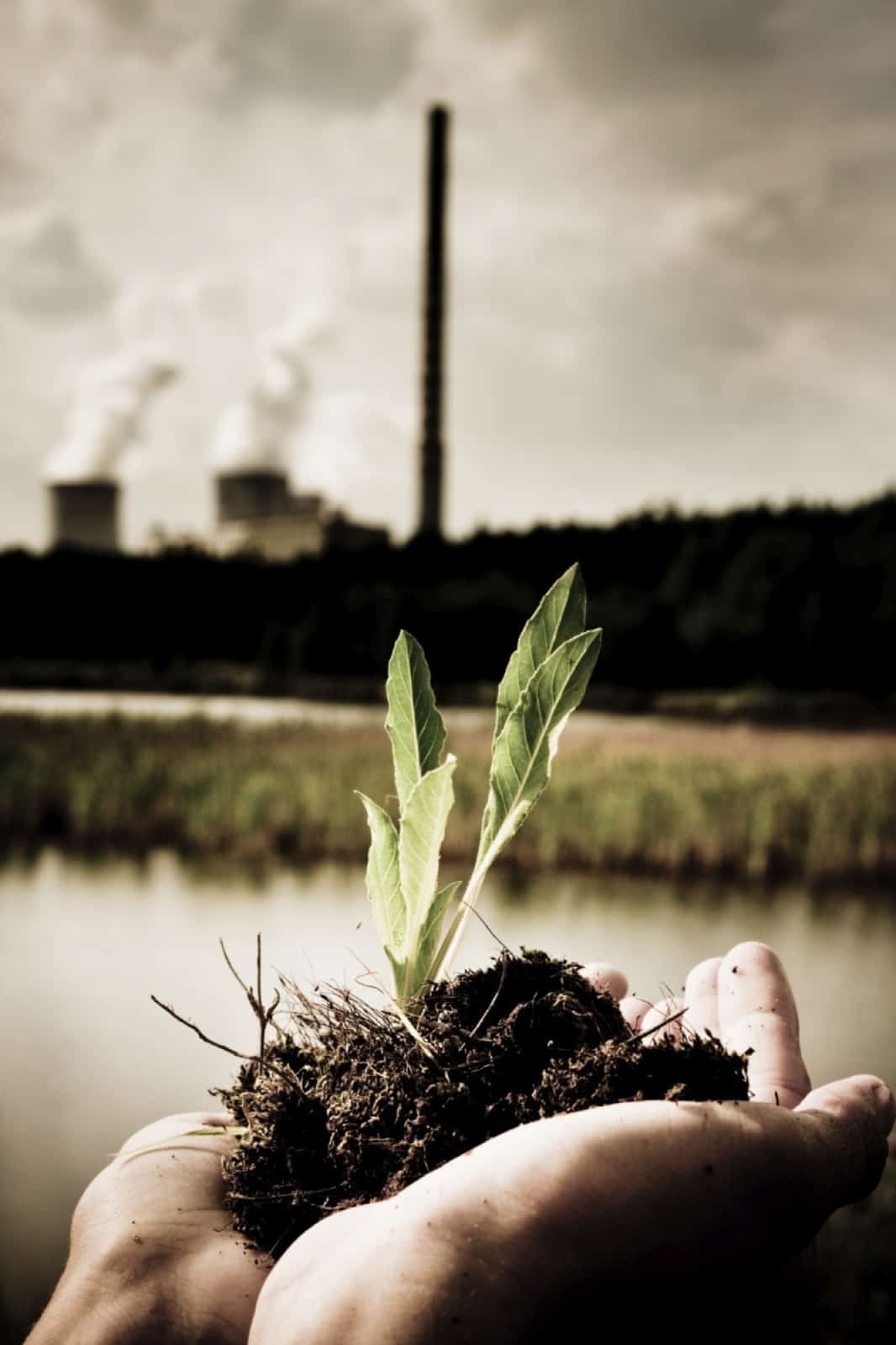 grüne Investments